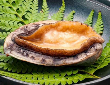 リゾートホテル美萩のお料理